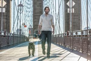 Zobrazit detail akce: John Wick 2