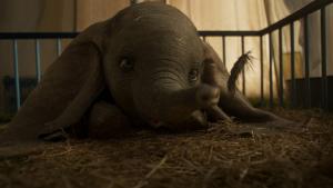 Zobrazit detail akce: Dumbo