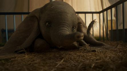 Zobrazit detail akce: Dumbo