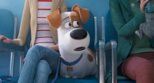 Zobrazit detail akce: Letní kino: Tajný život mazlíčků 2