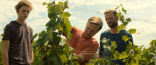 Zobrazit detail akce: Letní kino: 3Bobule - MIMOŘÁDNĚ ZAŘAZENO