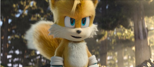 Zobrazit detail akce: Ježek Sonic 2