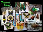 Zobrazit detail akce: Entomologická prodejní výstava
