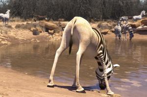 Zobrazit detail akce: Khumba