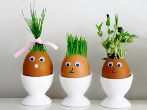 Zobrazit detail akce: Vlasatá vajíčka a slepička