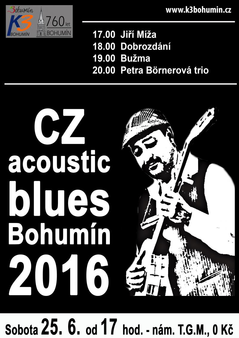 Zobrazit detail akce: CZ acoustic blues Bohumín 2016