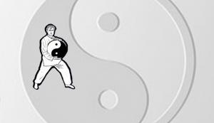 Zobrazit detail akce: Cvičení Kung-fu pro dĕti