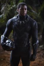 Zobrazit detail akce: Black Panther