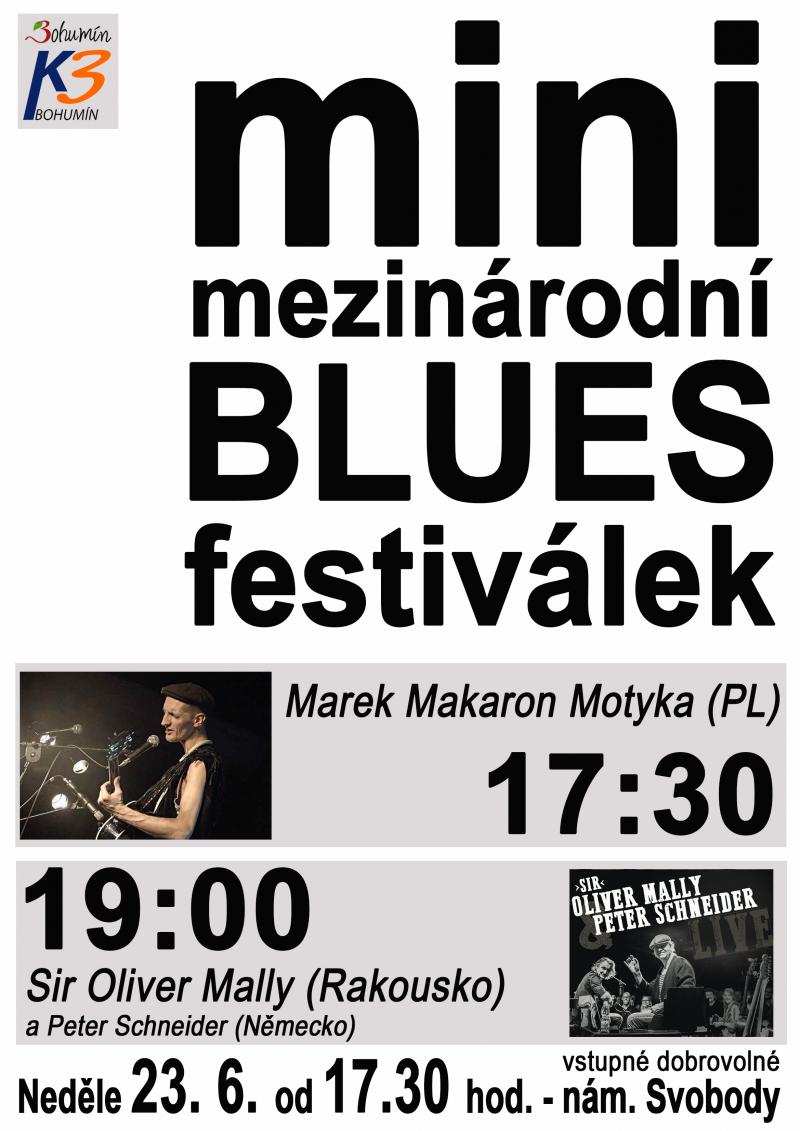 Zobrazit detail akce: Mini mezinárodní blues festival