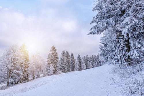 Zobrazit detail akce: Výstava Fotoklubu K3 Bohumín