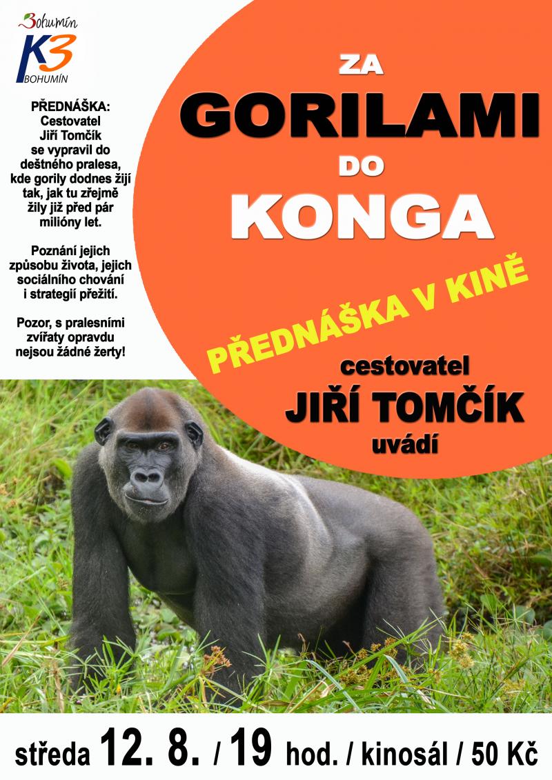 Zobrazit detail akce: Za gorilami do Konga