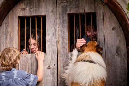 Zobrazit detail akce: Lassie: Nová dobrodružství (FKS)