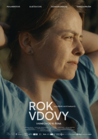 Rok vdovy (FKS)