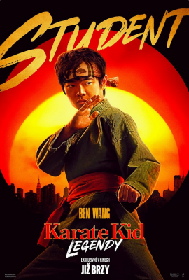 Zobrazit detail akce: Karate Kid: Legendy