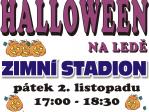 Zobrazit detail akce: Halloween na ledě