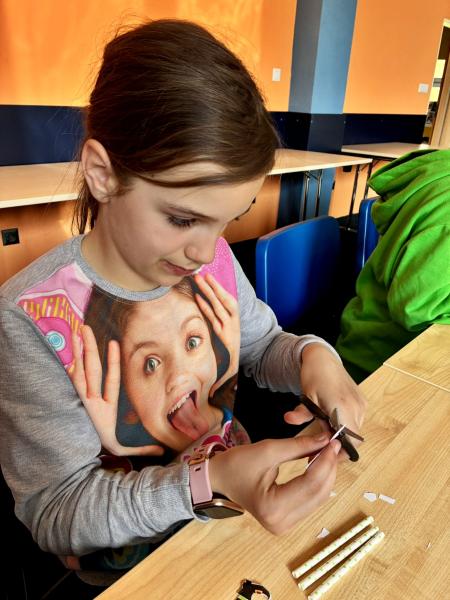 Zvětšit
