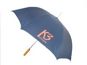 Zobrazit článek - Půjčování deštníku