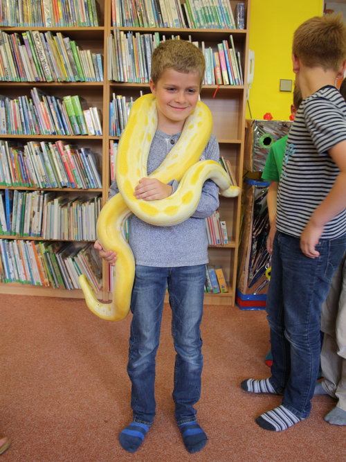 Zvětšit