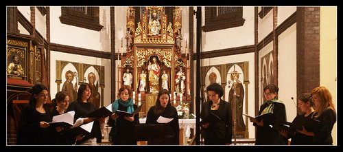 2009-10-11 Kvítí mezi trny - zvětšit