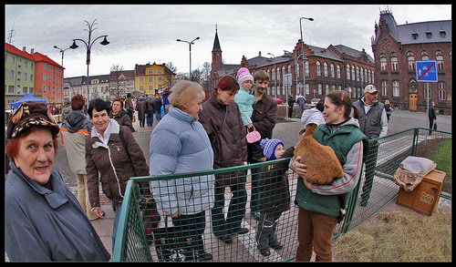 2009-11-28 Vánoční trhy - zvětšit