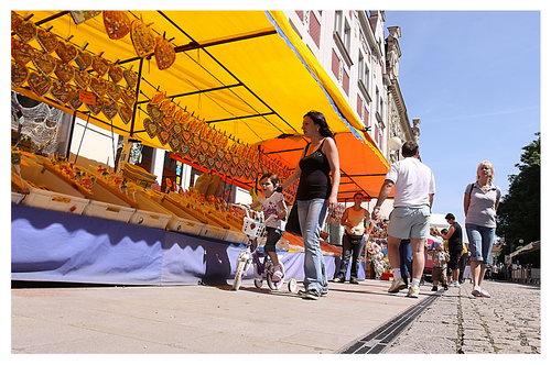 2010-06-06 Dětský den se zvířátky - zvětšit