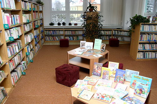 2007-11-17 Rozšiřování knihovny - zvětšit
