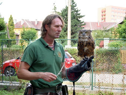  - zvětšit