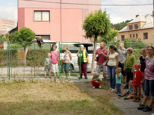  - zvětšit