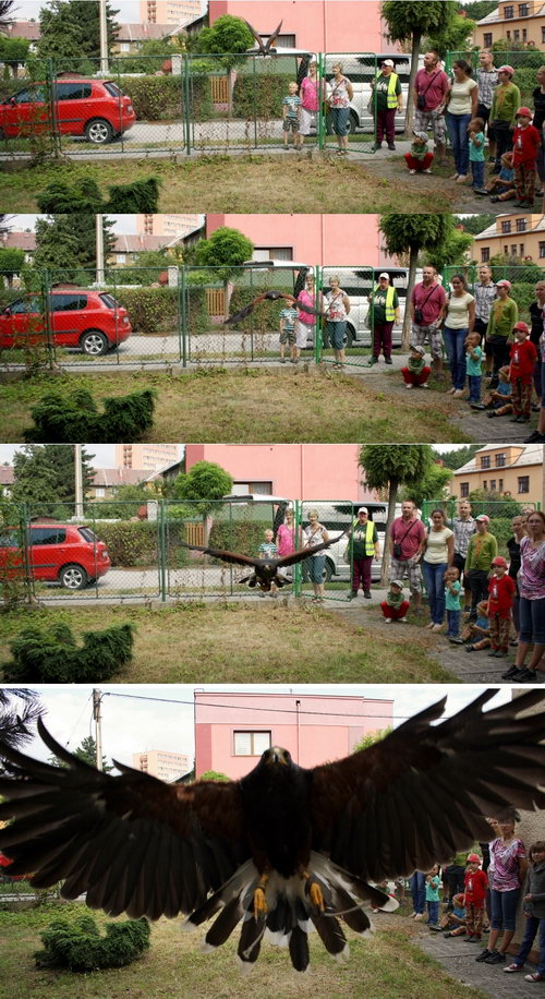  - zvětšit