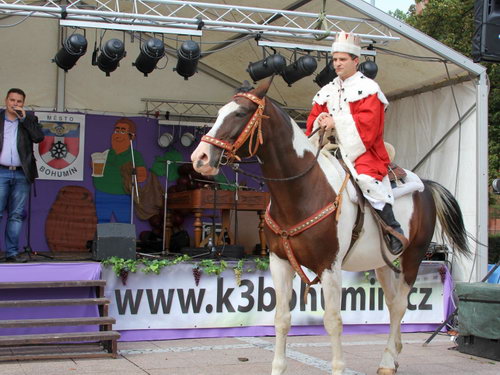  - zvětšit