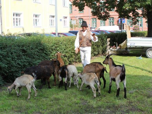 - zvětšit