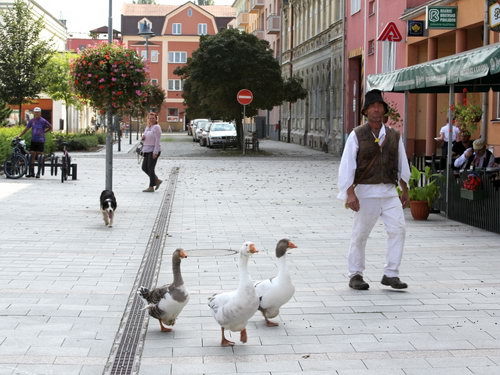  - zvětšit