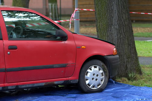  - zvětšit
