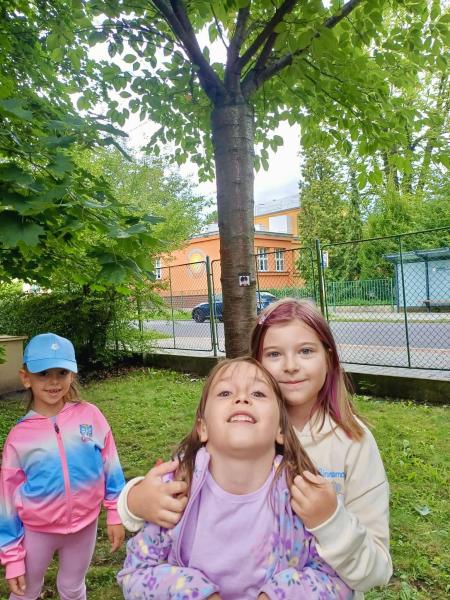  - zvětšit